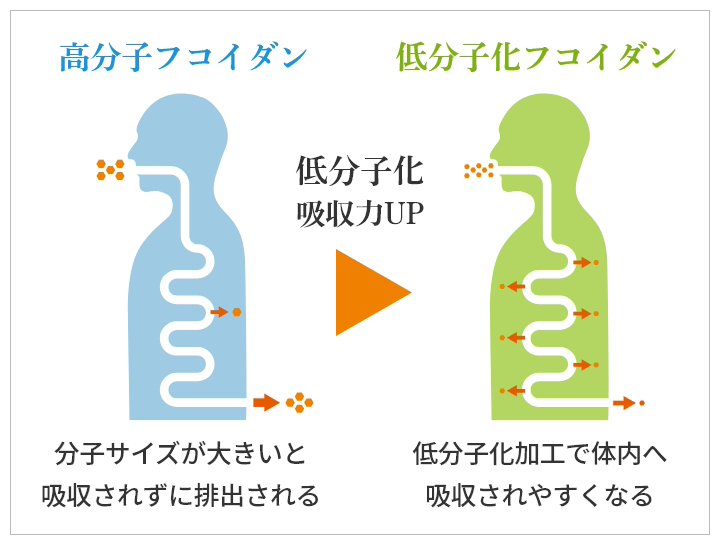 高分子と低分子の比較